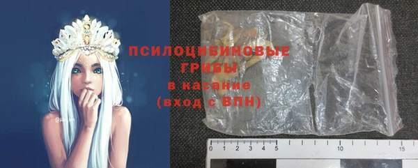 хмурый Нея