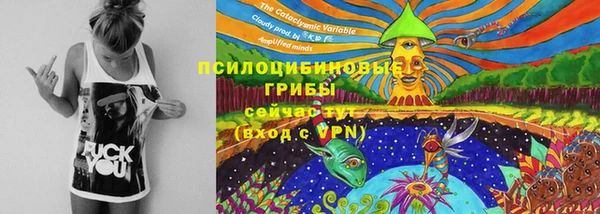a pvp Алексин