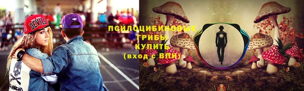 прущие грибы Алексеевка