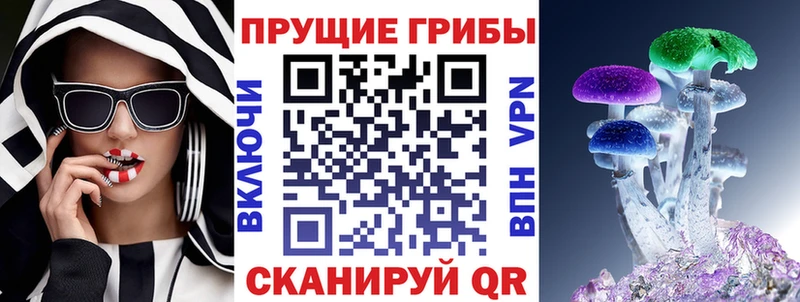 наркота Апатиты Псилоцибиновые грибы Magic Shrooms